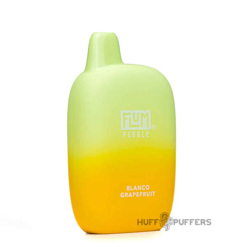 Flum Pebble Disposable Vape 5% Nicotine - Image 25