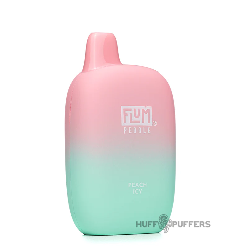 Flum Pebble Disposable Vape 5% Nicotine - Image 26