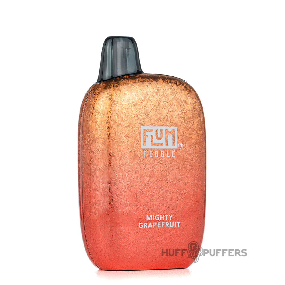 Flum Pebble Disposable Vape 5% Nicotine - Image 43